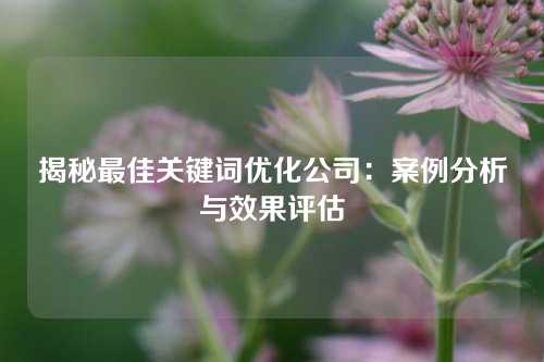 揭秘最佳关键词优化公司：案例分析与效果评估