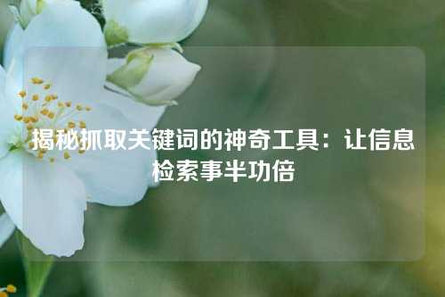 揭秘抓取关键词的神奇工具：让信息检索事半功倍