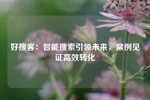 好搜客：智能搜索引领未来，案例见证高效转化