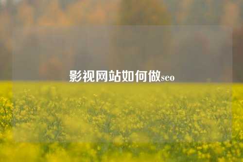 影视网站如何做seo