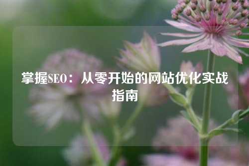 掌握SEO：从零开始的网站优化实战指南