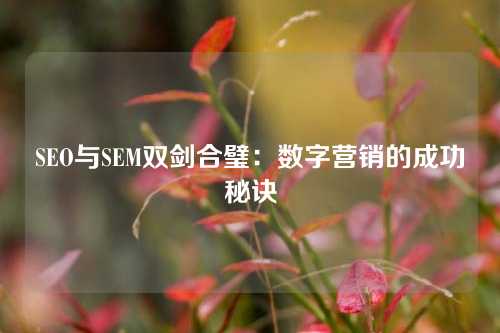 SEO与SEM双剑合璧：数字营销的成功秘诀