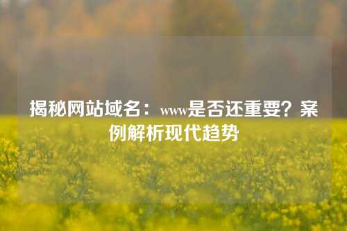 揭秘网站域名：www是否还重要？案例解析现代趋势