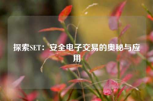 探索SET：安全电子交易的奥秘与应用