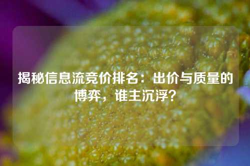 揭秘信息流竞价排名：出价与质量的博弈，谁主沉浮？