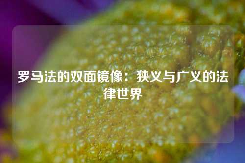 罗马法的双面镜像：狭义与广义的法律世界