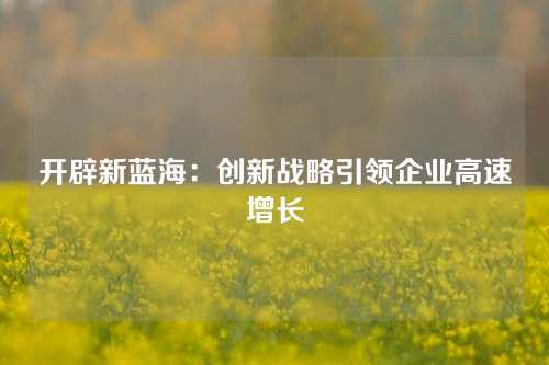 开辟新蓝海：创新战略引领企业高速增长