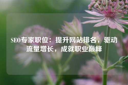 SEO专家职位：提升网站排名，驱动流量增长，成就职业巅峰