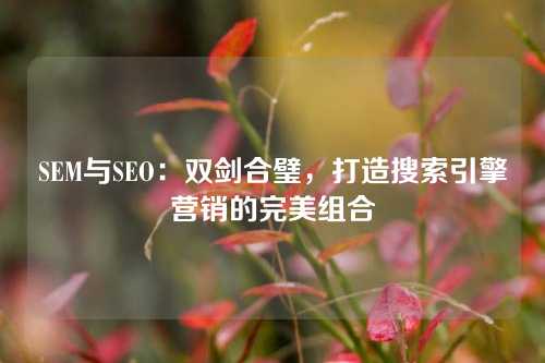 SEM与SEO：双剑合璧，打造搜索引擎营销的完美组合