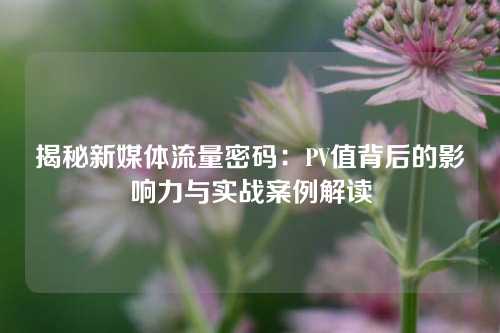 揭秘新媒体流量密码：PV值背后的影响力与实战案例解读