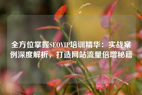 全方位掌握SEOVIP培训精华：实战案例深度解析，打造网站流量倍增秘籍