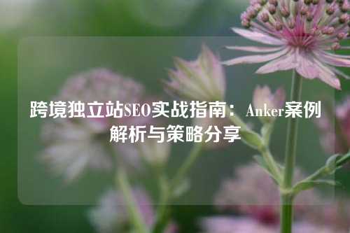 跨境独立站SEO实战指南：Anker案例解析与策略分享