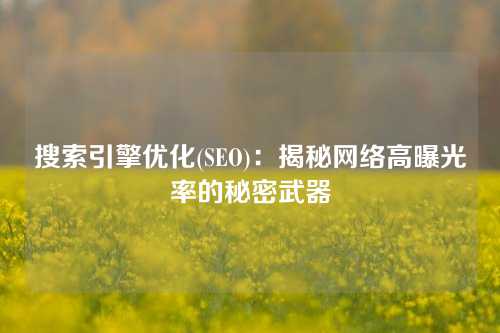 搜索引擎优化(SEO)：揭秘网络高曝光率的秘密武器