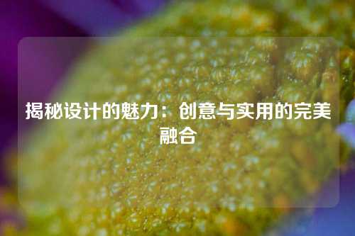 揭秘设计的魅力：创意与实用的完美融合