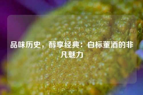 品味历史，醇享经典：白标董酒的非凡魅力