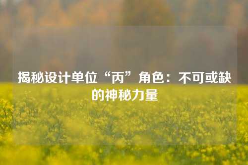 揭秘设计单位“丙”角色：不可或缺的神秘力量