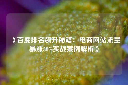 《百度排名飙升秘籍：电商网站流量暴涨50%实战案例解析》