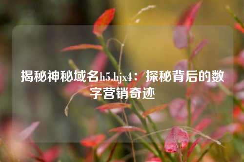 揭秘神秘域名h5.hjx4：探秘背后的数字营销奇迹