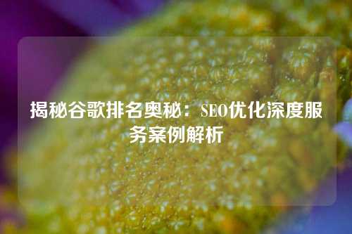 揭秘谷歌排名奥秘：SEO优化深度服务案例解析