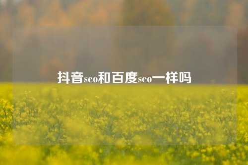 抖音seo和百度seo一样吗