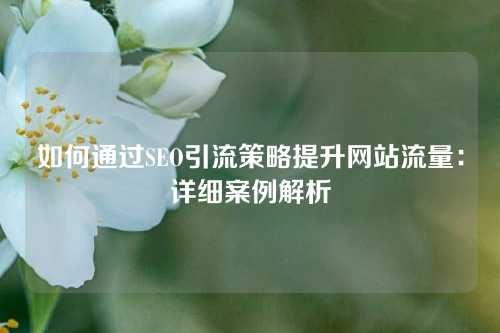 如何通过SEO引流策略提升网站流量：详细案例解析