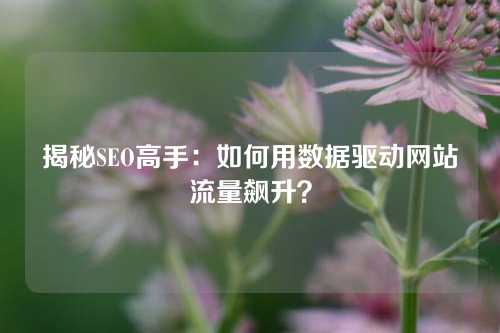 揭秘SEO高手：如何用数据驱动网站流量飙升？