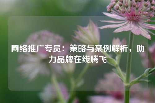 网络推广专员：策略与案例解析，助力品牌在线腾飞