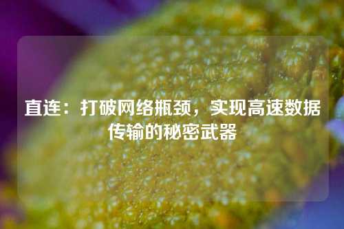 直连：打破网络瓶颈，实现高速数据传输的秘密武器