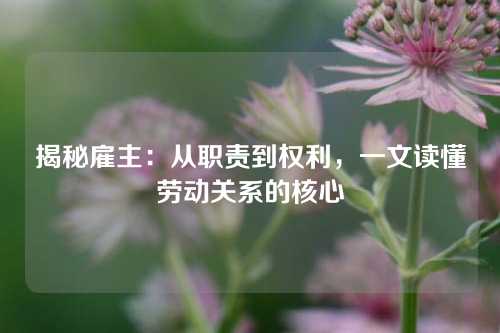 揭秘雇主：从职责到权利，一文读懂劳动关系的核心