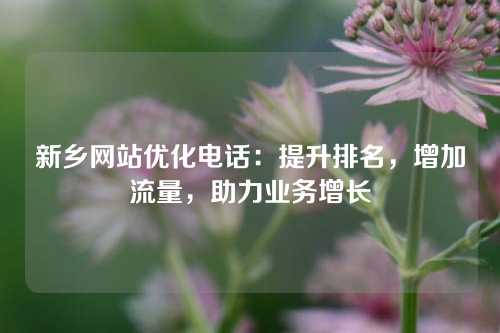 新乡网站优化电话：提升排名，增加流量，助力业务增长