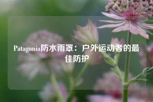 Patagonia防水雨罩：户外运动者的最佳防护