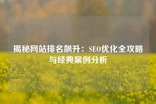 揭秘网站排名飙升：SEO优化全攻略与经典案例分析