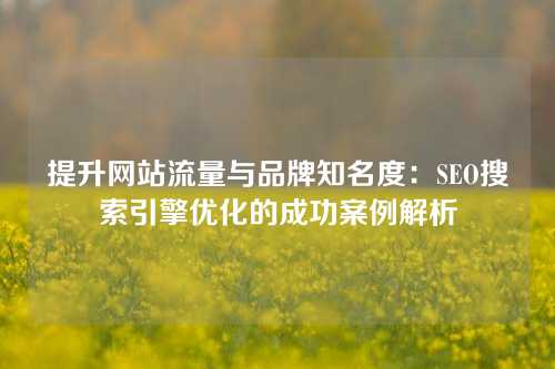 提升网站流量与品牌知名度：SEO搜索引擎优化的成功案例解析