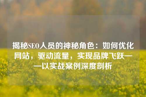 揭秘SEO人员的神秘角色：如何优化网站，驱动流量，实现品牌飞跃——以实战案例深度剖析