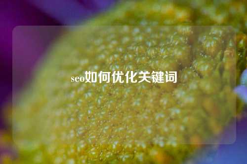 seo如何优化关键词