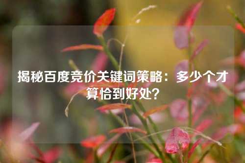 揭秘百度竞价关键词策略：多少个才算恰到好处？