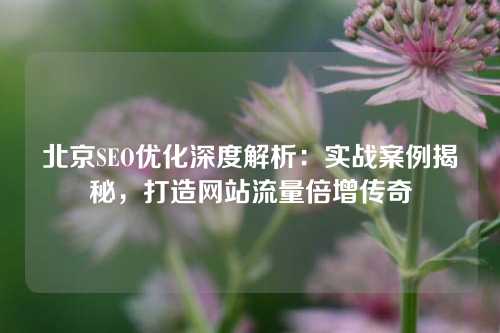 北京SEO优化深度解析：实战案例揭秘，打造网站流量倍增传奇