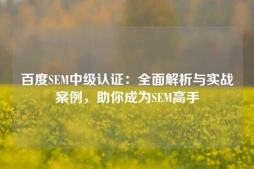 百度SEM中级认证：全面解析与实战案例，助你成为SEM高手