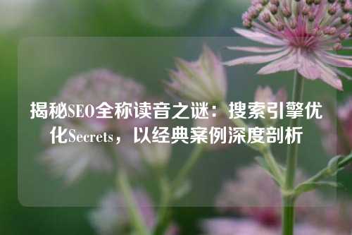 揭秘SEO全称读音之谜：搜索引擎优化Secrets，以经典案例深度剖析