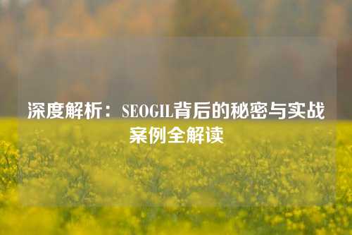 深度解析：SEOGIL背后的秘密与实战案例全解读