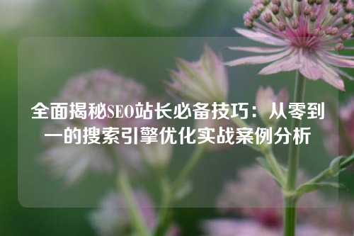 全面揭秘SEO站长必备技巧：从零到一的搜索引擎优化实战案例分析