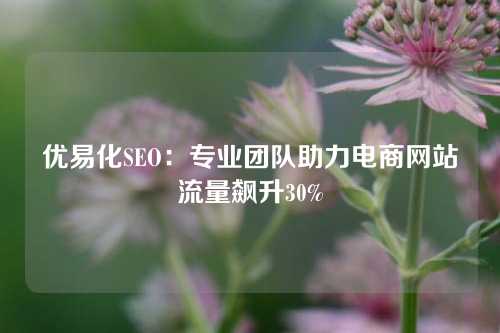 优易化SEO：专业团队助力电商网站流量飙升30%