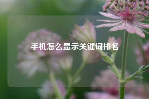 手机怎么显示关键词排名