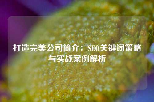 打造完美公司简介：SEO关键词策略与实战案例解析