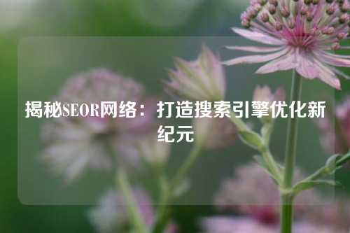 揭秘SEOR网络：打造搜索引擎优化新纪元