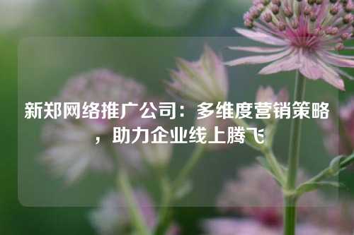 新郑网络推广公司：多维度营销策略，助力企业线上腾飞