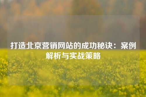 打造北京营销网站的成功秘诀：案例解析与实战策略