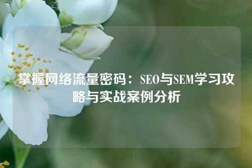 掌握网络流量密码：SEO与SEM学习攻略与实战案例分析