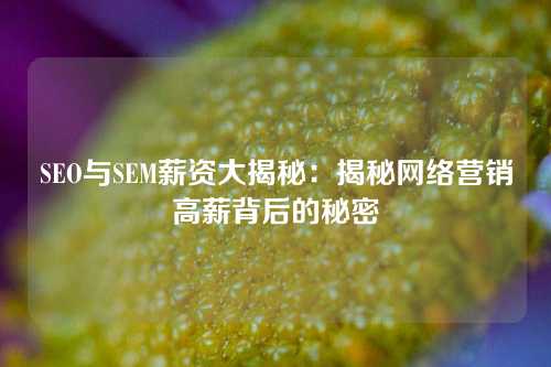 SEO与SEM薪资大揭秘：揭秘网络营销高薪背后的秘密