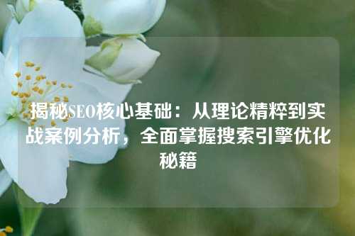 揭秘SEO核心基础：从理论精粹到实战案例分析，全面掌握搜索引擎优化秘籍